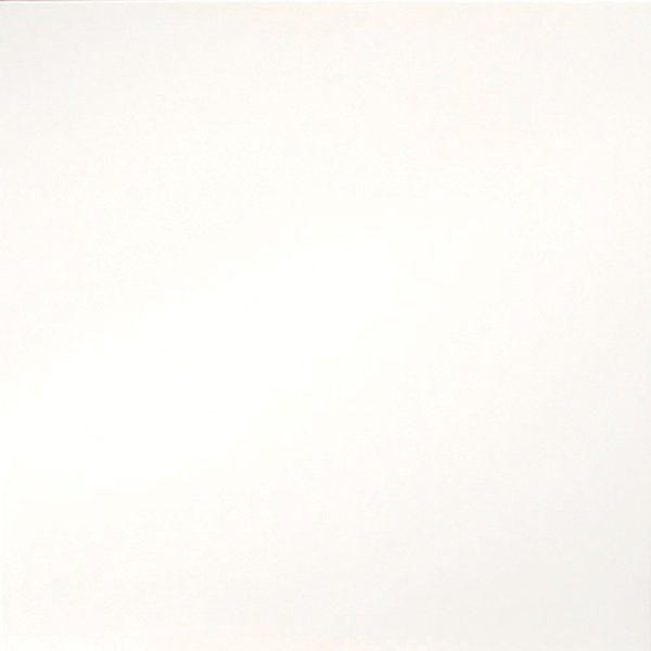 Times Square 12 x 12 Porcelain Field Tile in Polished White by Emser Tile