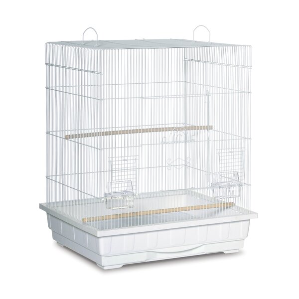 Square Top Parakeet  Bird Cage by Prevue Hendryx