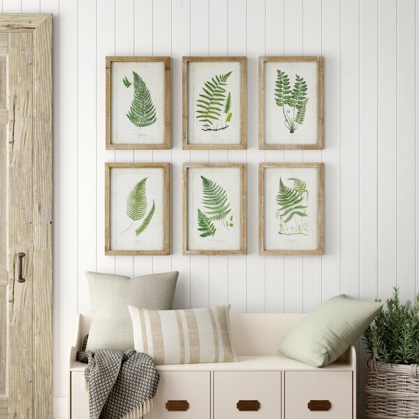 Birch Lane Wood Framed Wall Decor With Fern Fronds 6 Piece Picture Frame Print Set On Wood Reviews Wayfair