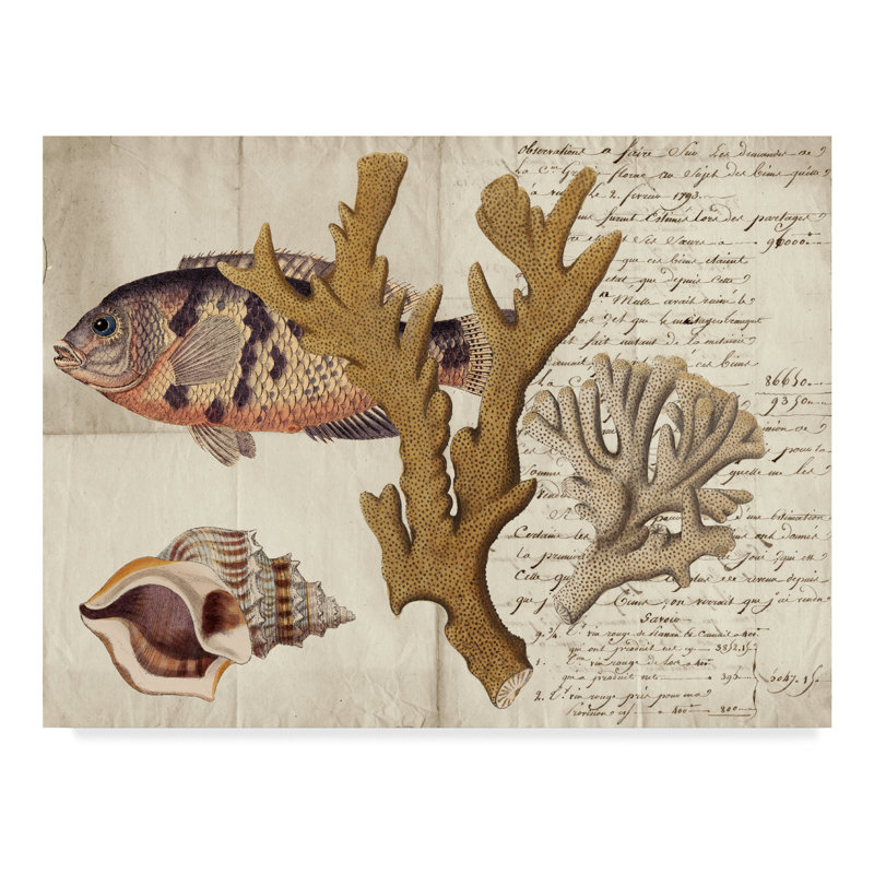 East Urban Home Sea Life Journal I Acrylic Painting Print On
