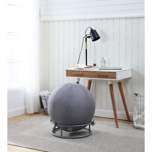 Kids Ball Chair Wayfair