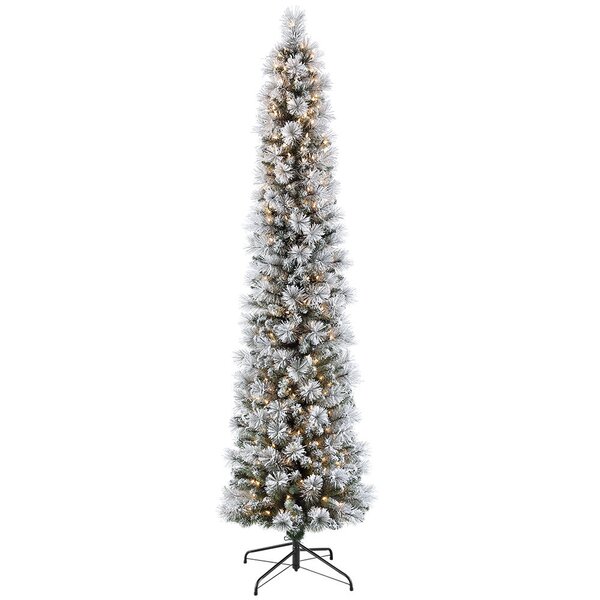 Flocked Pencil Portland 90 Green Pine Artificial Christmas Tree with 350 Clear and White Lights by The Holiday Aisle