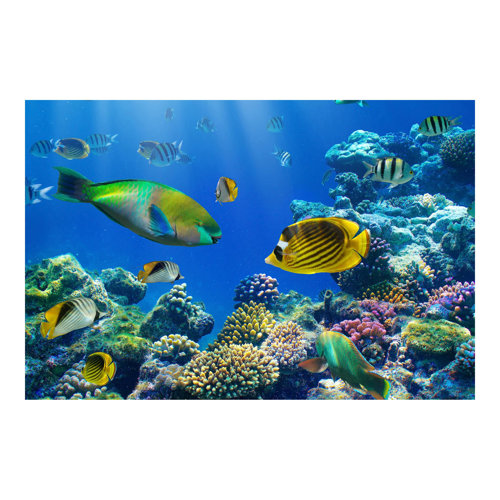Underwater Lights 1.9m x 2.88m Textured Matt Peel & Stick Wall Mural East Urban Home