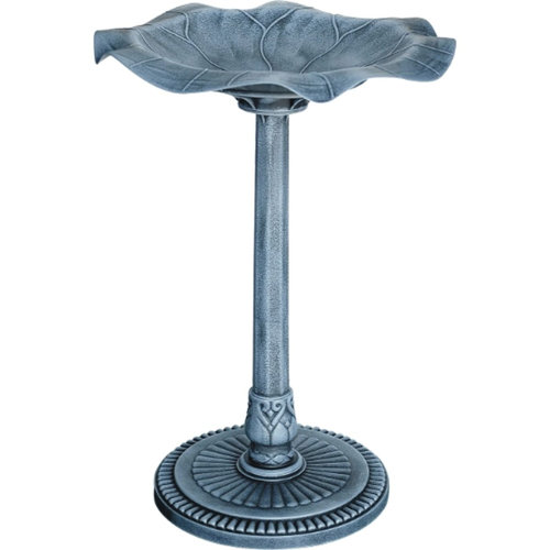 Bird Bath Lily Manor