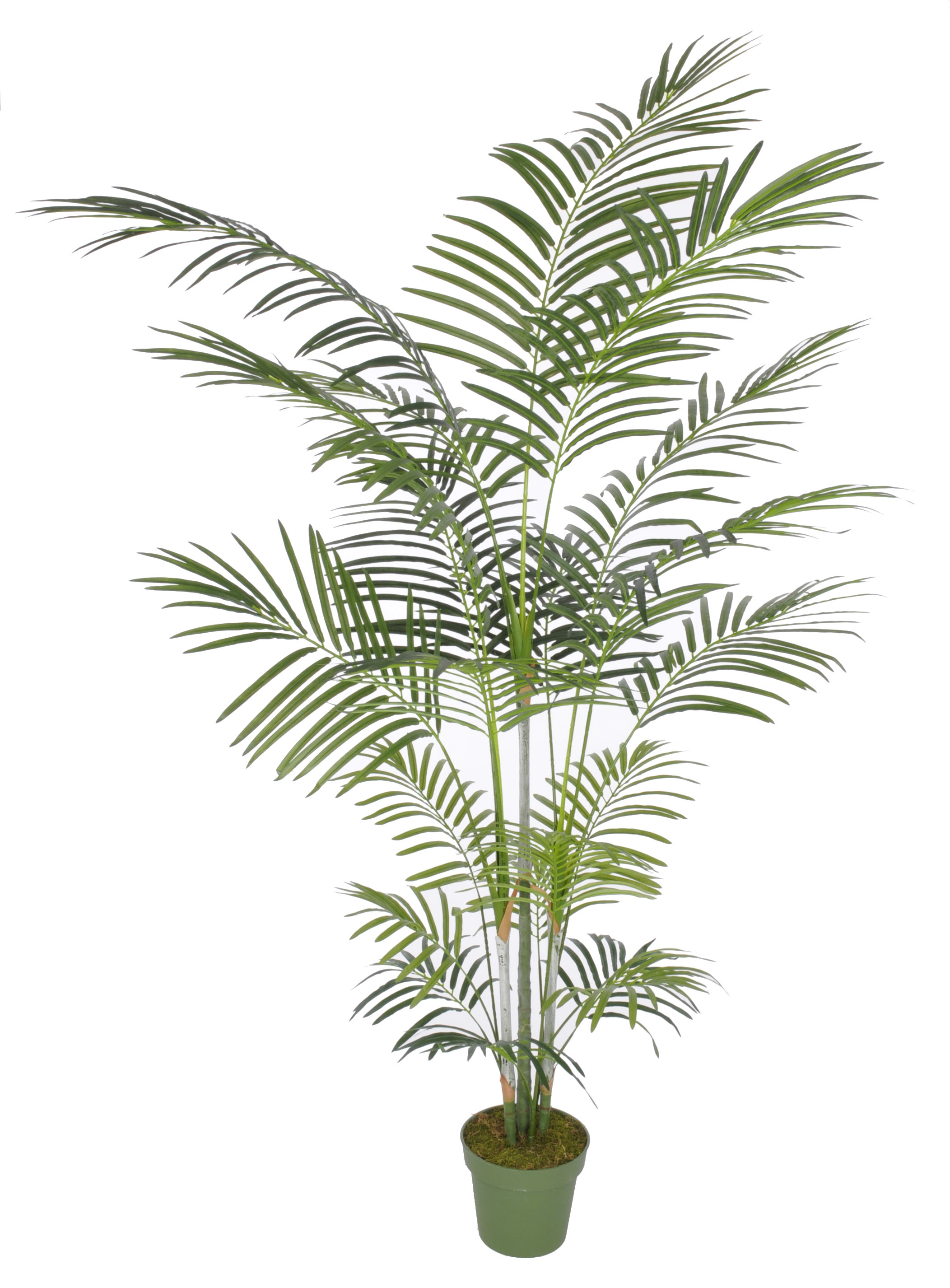Beachcrest Home Artificial Areca Palm Tree Floor Silk Plant In
