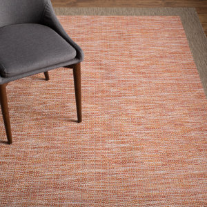 Loranger Orange Indoor/Outdoor Area Rug