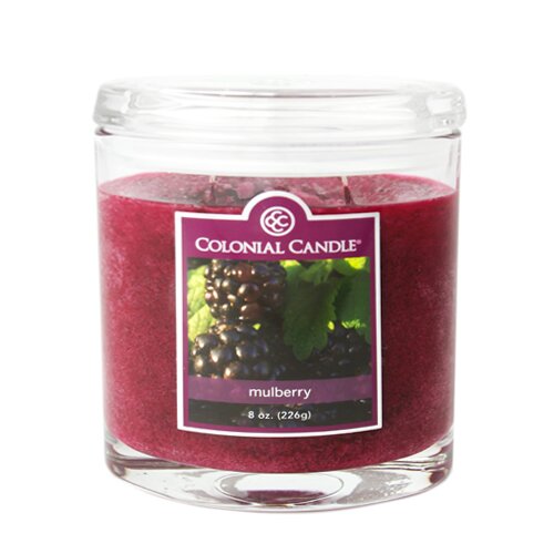Mulberry Jar Candle by Colonial Candle