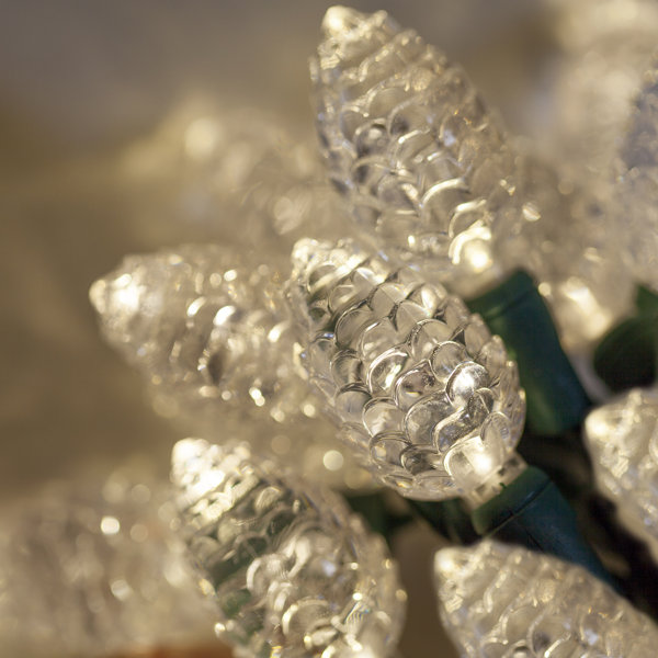 25 Pinecone LED Light String by The Holiday Aisle