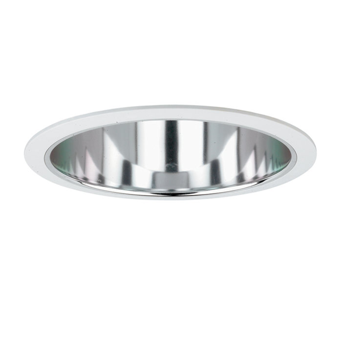 Raptor Lighting Complete New Construction Non Insulated Ceiling
