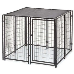 Inside Dog Kennel | Wayfair Inside Dog Kennel | Wayfair