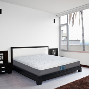 Wolf Mattress Ortho 10