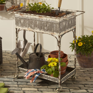 Eckert 2.5 ft x 1 ft Iron Raised Garden