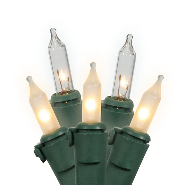 100 Lights GW Ec Lock Set by The Holiday Aisle