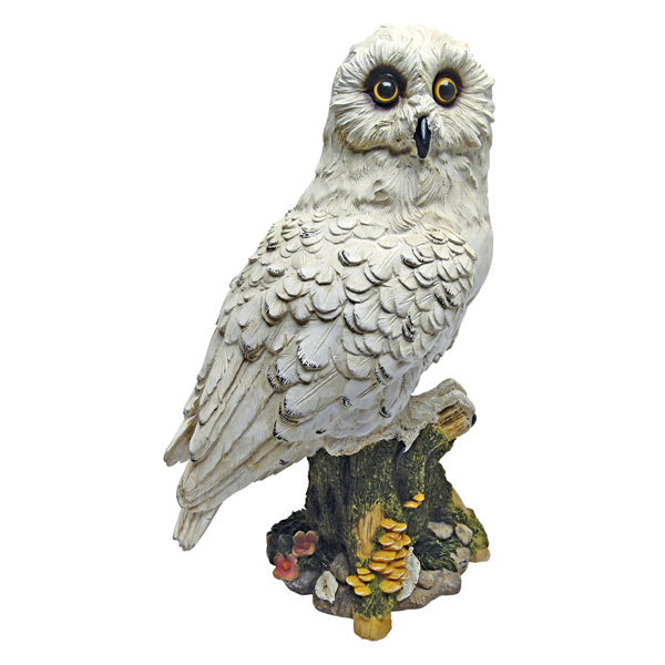 Design Toscano Mystical White Owl Statue Reviews Wayfair