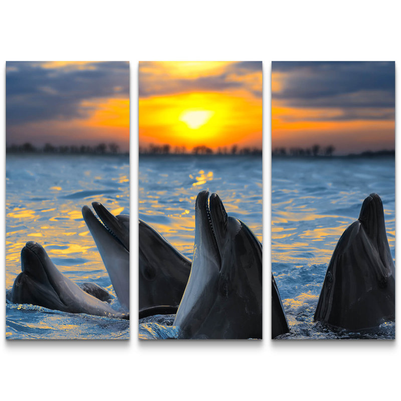 East Urban Home Group Of Dolphins At Sunset Photographic Art Print