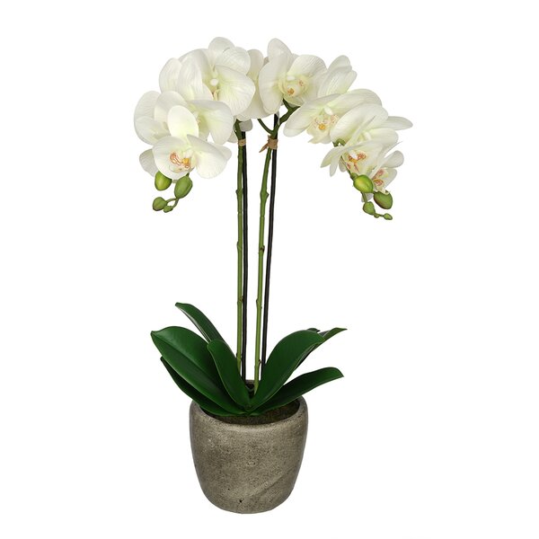 Synthetic Fabric Double-Stem Orchid by Greyleigh
