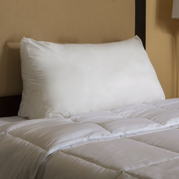 Reading Wedge Pillow Case Wayfair