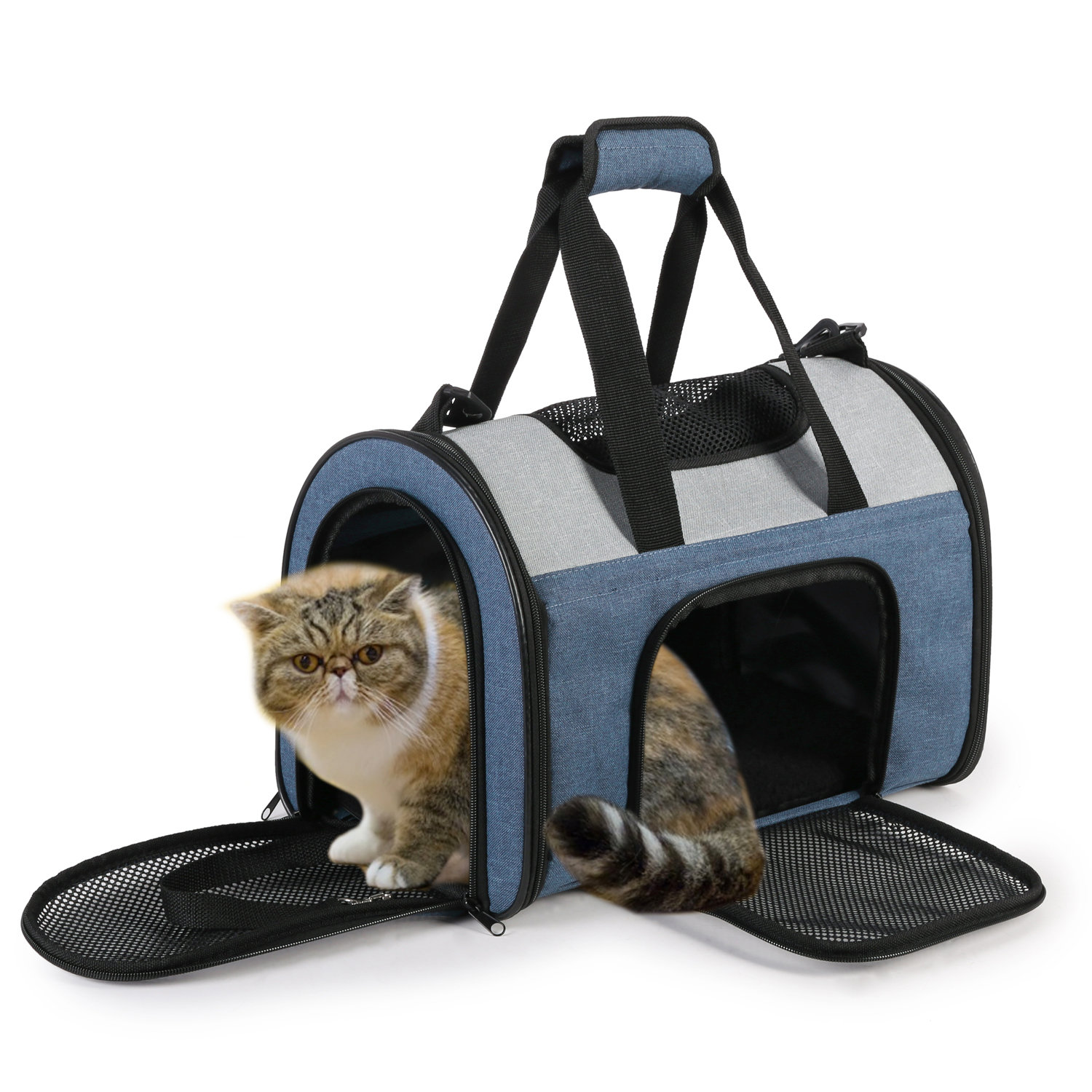 sport pet carrier