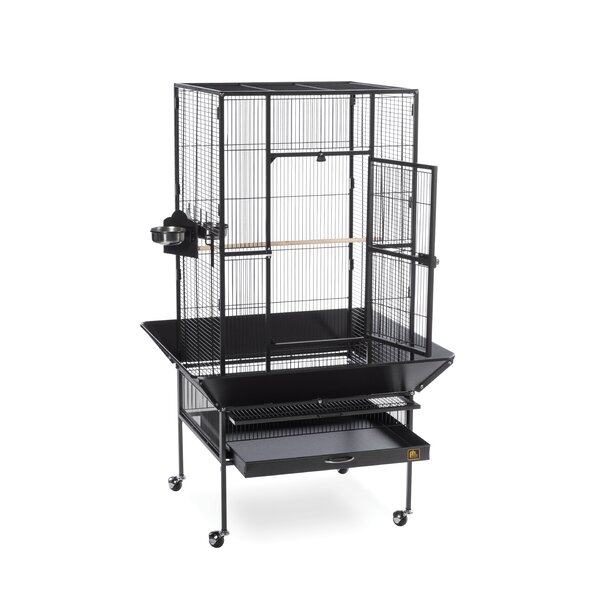 Park Plaza Large Bird Cage with Casters by Prevue Hendryx