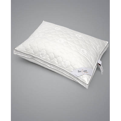 cotton bed shop near me