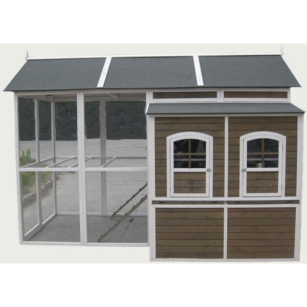 Feathers Chicken Coop with Roosting Bar by Innovation Pet