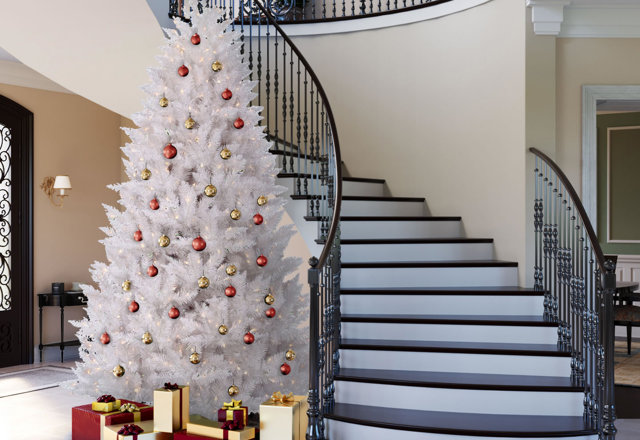 Just for You: Christmas Trees