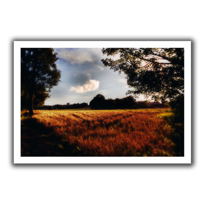 Farmville by John Black  Photographic Print on Canvas ArtWall Size 36 H x 52 W