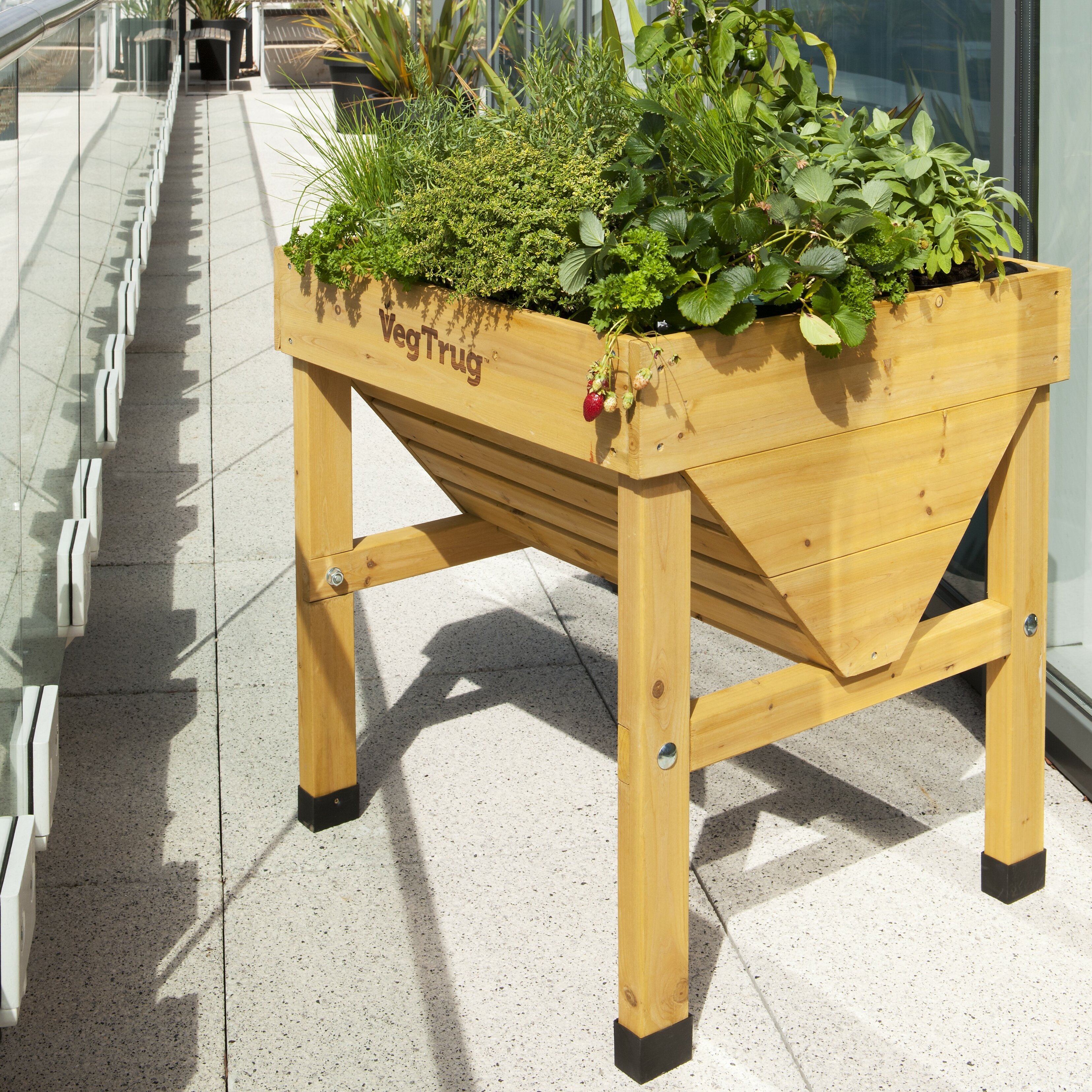 VegTrug | Wayfair.co.uk