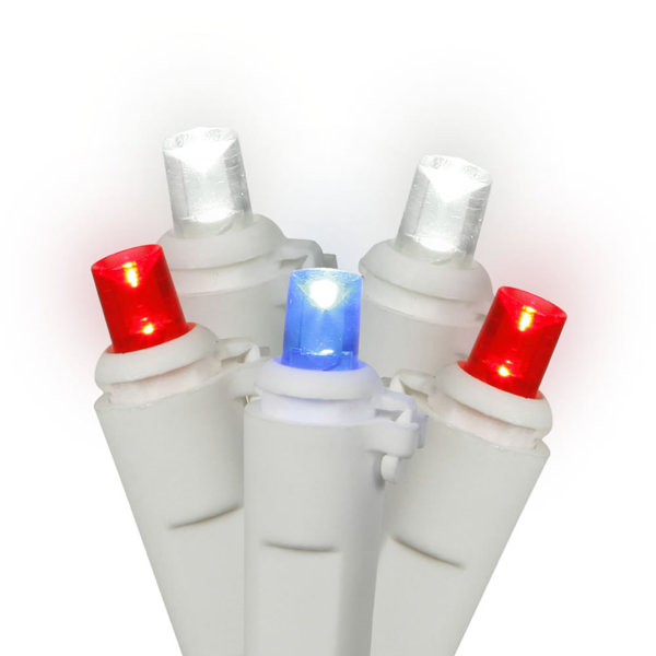 50 Light LED Light Set by The Holiday Aisle