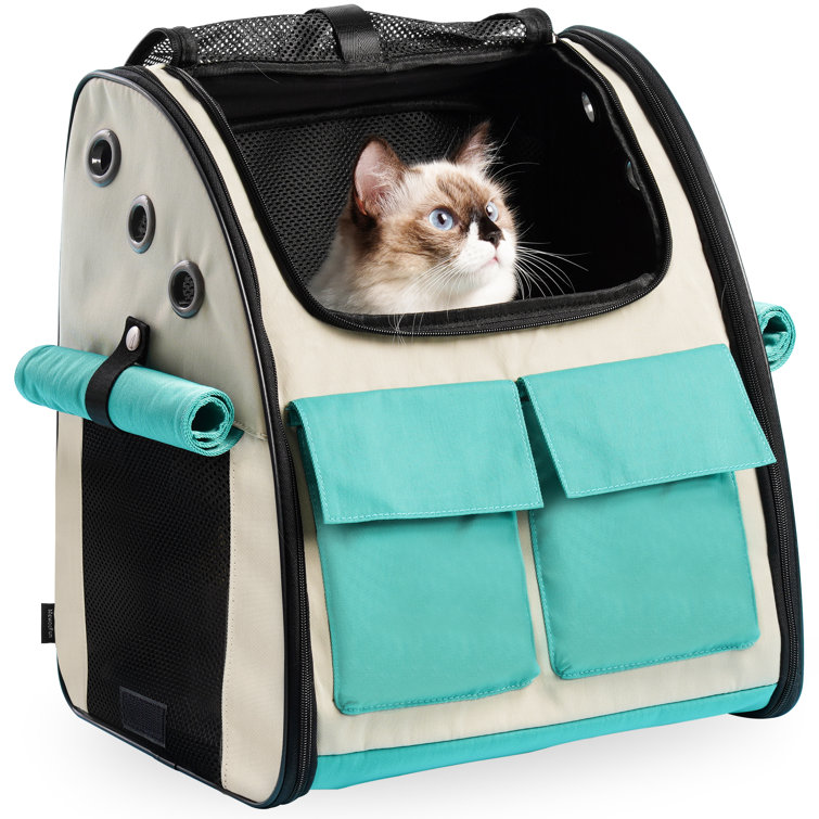 cat book bag