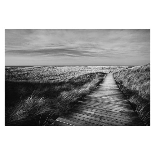 Dune Path on Sylt II 3.2m x 4.8m Textured Matte Peel & Stick Wall Mural East Urban Home