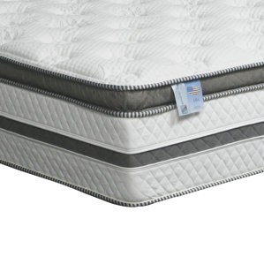 Alwyn Home Euro Pillow-Top 16