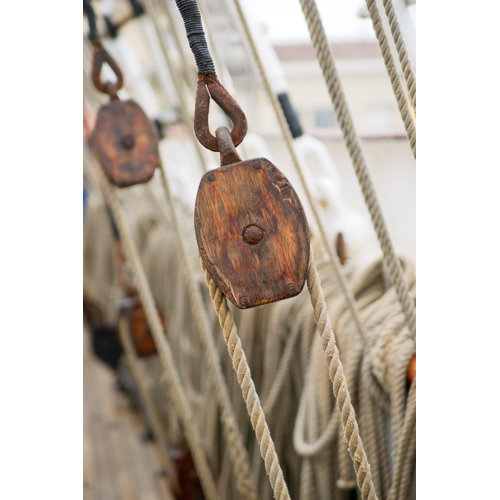 Ropes 3 by Laurence David Framed Photographic Print East Urban Home