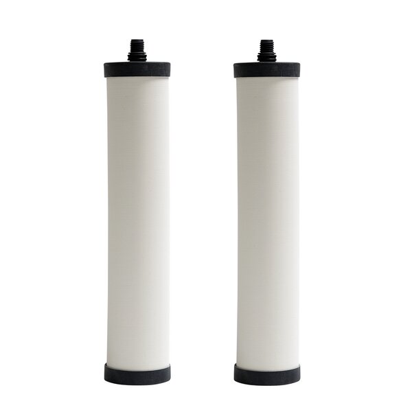 Under-sink Replacement Filter (Set of 2) by Franke
