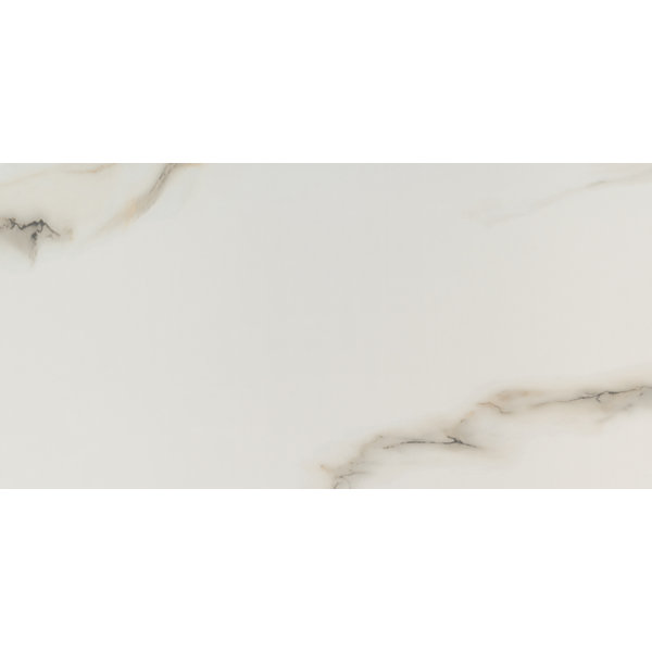 Aria 12 x 24 Porcelain Field Tile in Bianco by MSI
