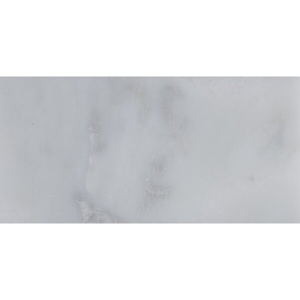 Arabescato Carrara 3'' x 6'' Marble Tile by MSI