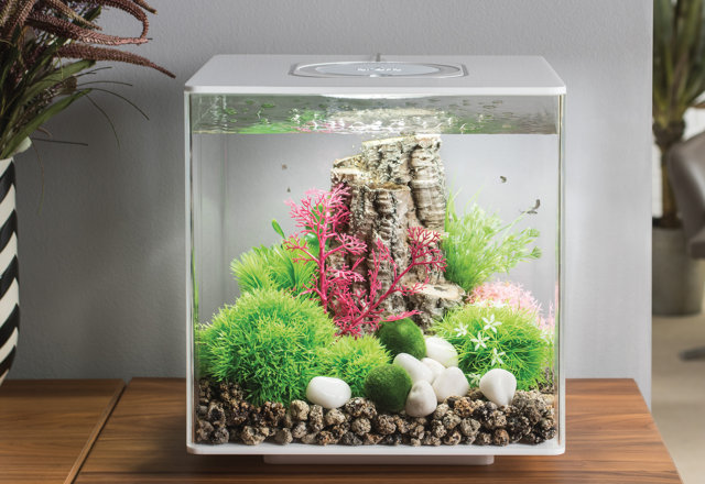 Our Favorite Unique Aquariums