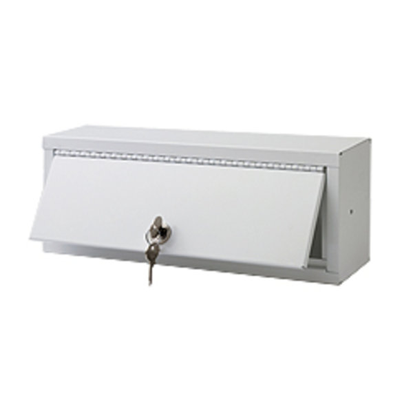 Lillie 13 W x 5 H Wall Mounted Cabinet by Symple Stuff
