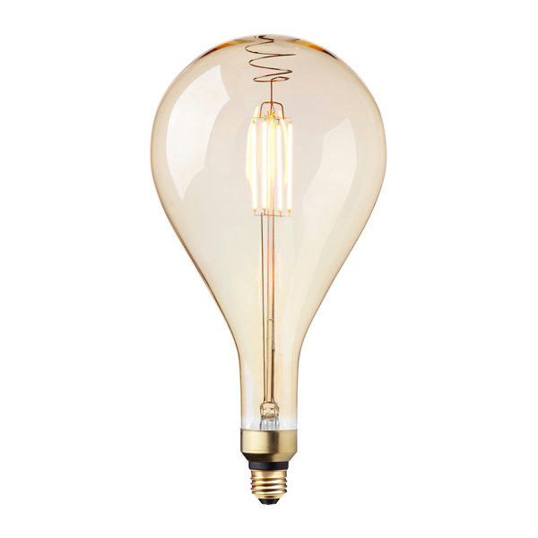 40W Incandescent Vintage Filament Light Bulb by Globe Electric Company