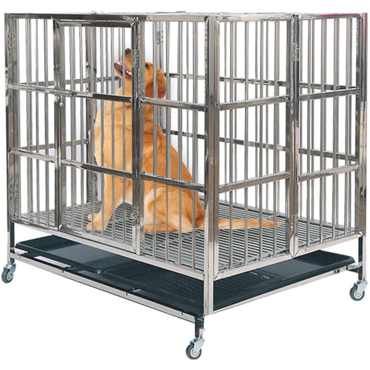 steel dog pen