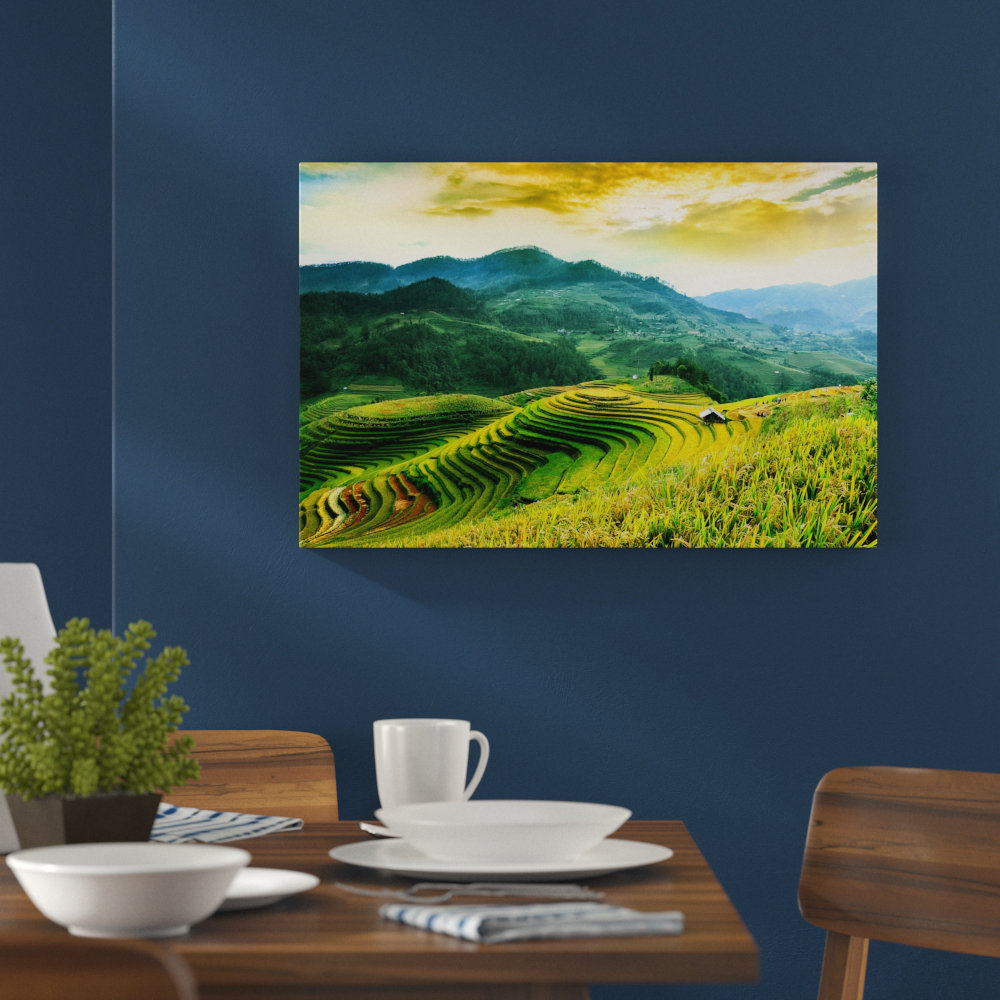 Natur Pur Rice Fields In Vietnam Wall Art On Canvas Wayfair Co Uk