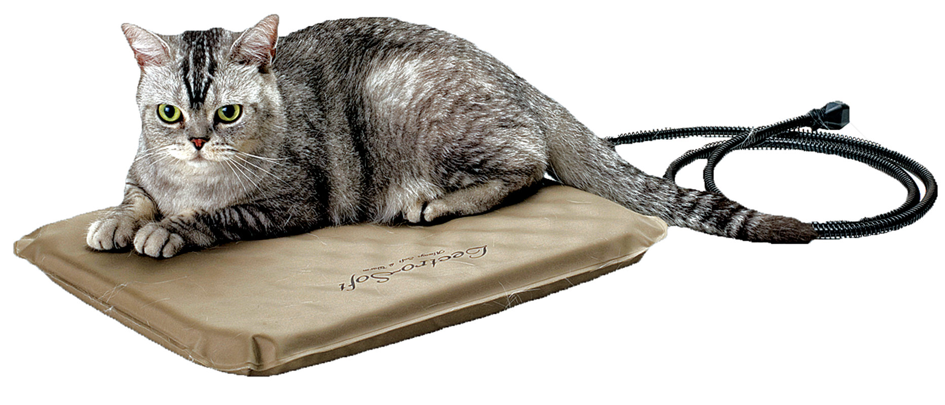 K&H Manufacturing LectroSoft™ Heated Dog Pad with Cover & Reviews