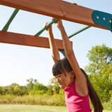 Backyard Monkey Bars Wayfair