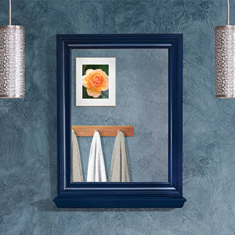 Alcott Hill Kaila Traditional With Shelves Bathroom Vanity Mirror Reviews Wayfair