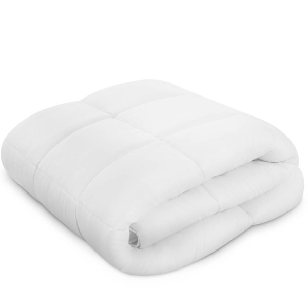 Siobhan All Season Single Comforter by Alwyn Home