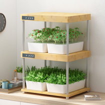 Indoor Herb Garden Kits Wayfair