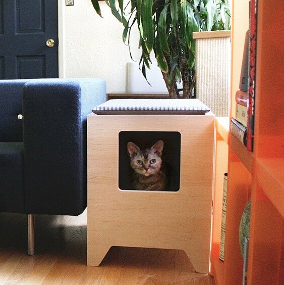 small cat box