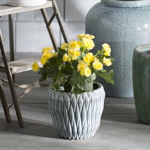 Aurelien Ceramic Pot Planter