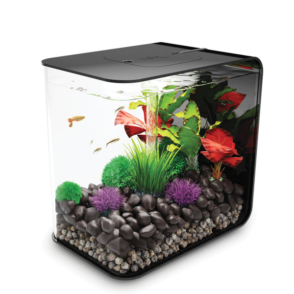 4 Gallon Flow Aquarium Tank by biOrb