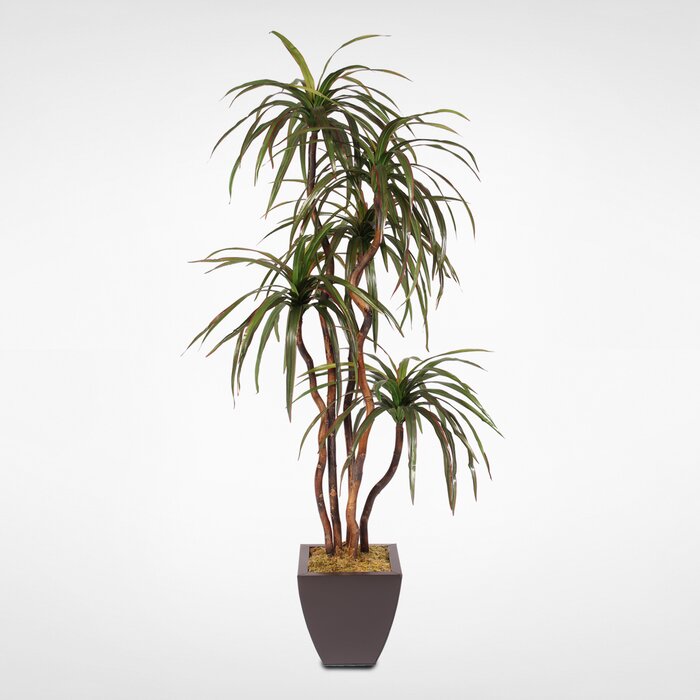 Brayden Studio® Silk Floor Yucca Tree in Planter | Wayfair